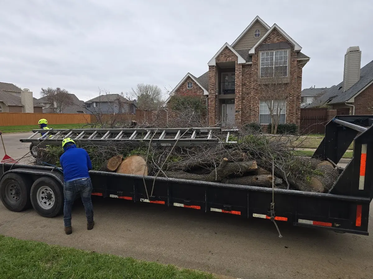 Expert Crown Reduction with proper safety equipment in Churchville